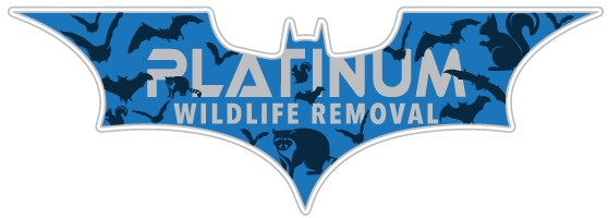 Indy Wildlife Control LLC